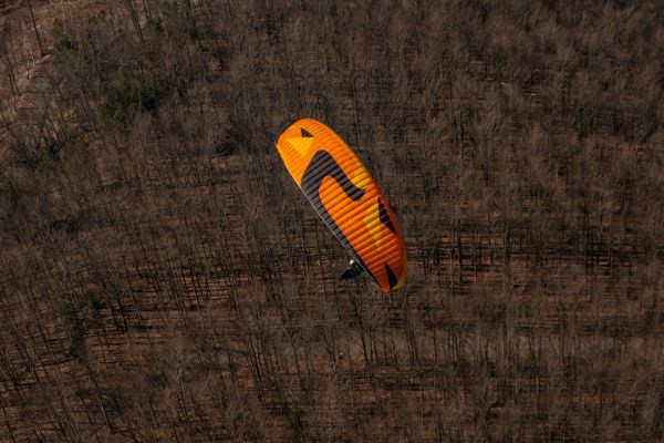 Sky Paragliders CARANCHO