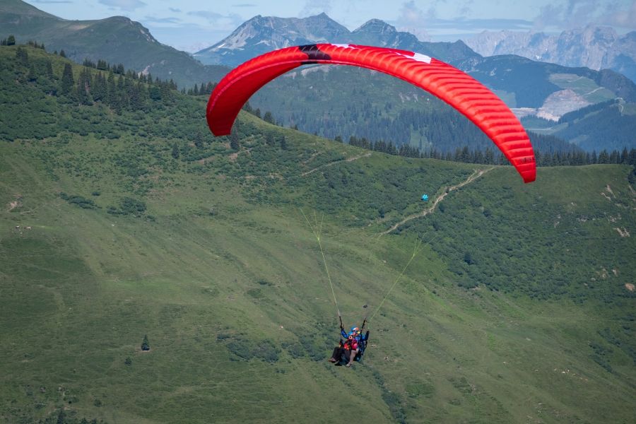 Sky Paragliders Metis 4