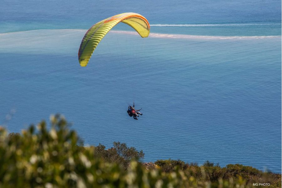 Sky Paragliders Apollo Bi