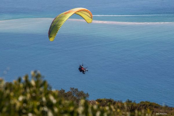 Sky Paragliders Apollo Bi