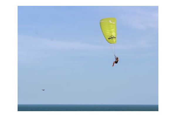 LittleCloud Spiruline minivela