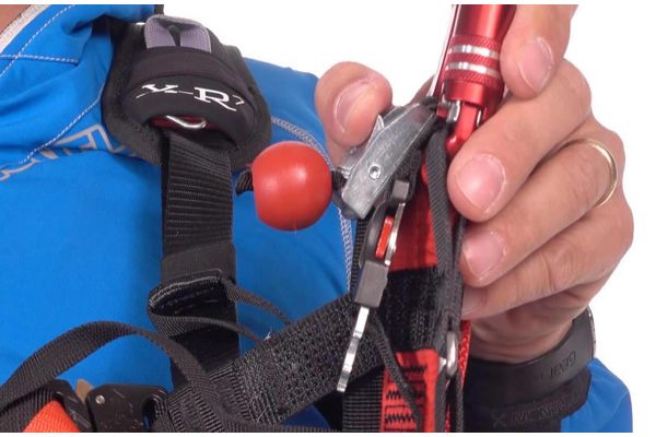 Woody Valley X-Rated 7